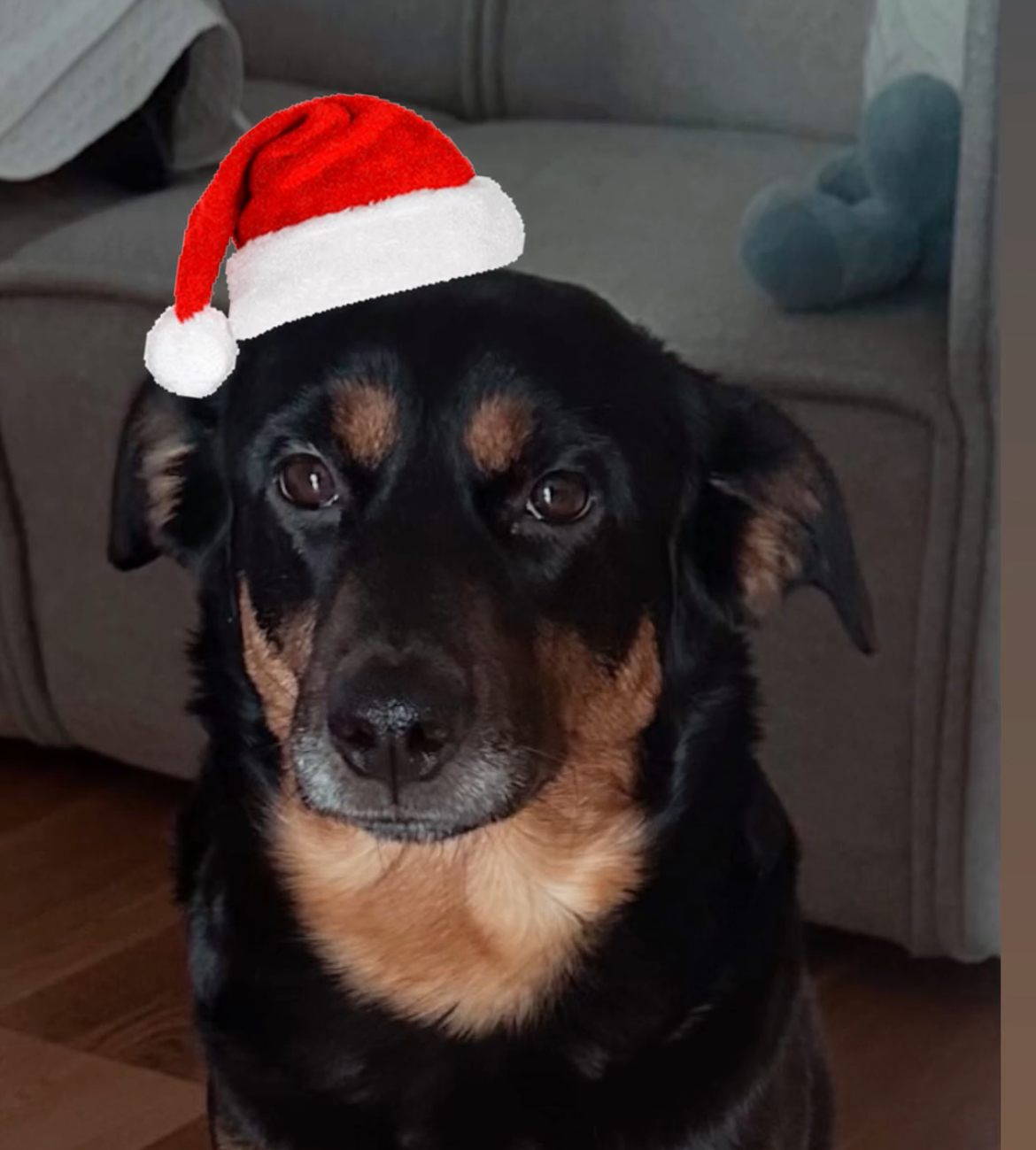 Luna (Not that LUNA)